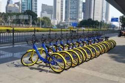 【5分钟教程】防城港公司咨询电话号码_哔哩哔哩